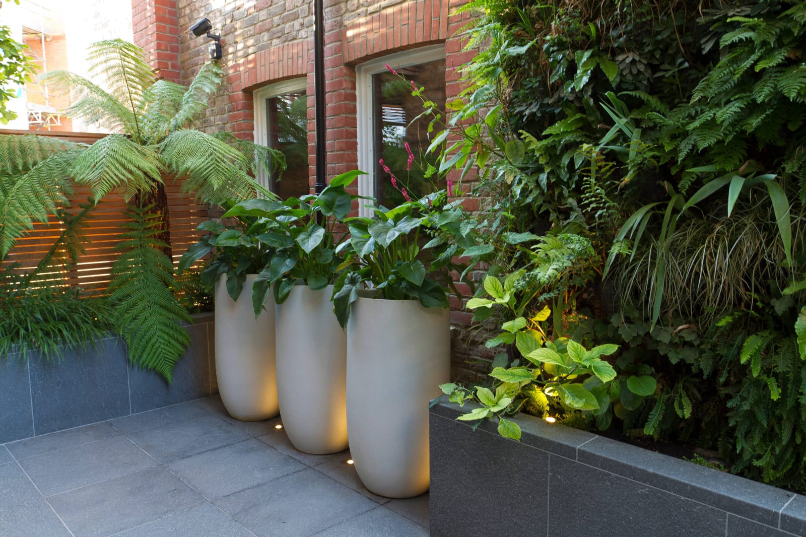 Jardín vertical con macetas iluminadas y helechos